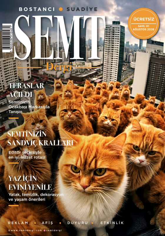 Ekran-Resmi-2026-06-09-00.10.19 Dergiler